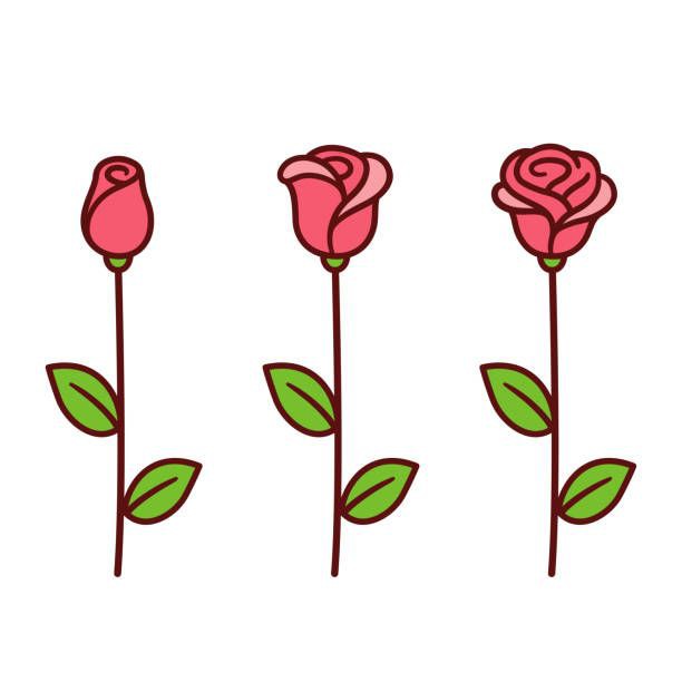 Warda Sticker 99