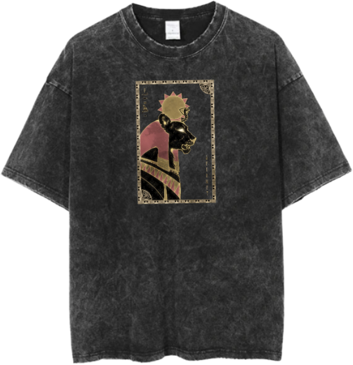 Egypt t- shirt Over Size Washed 24