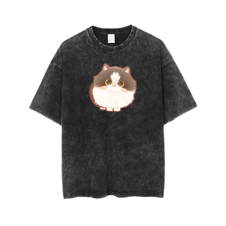 cat One Size t- shirt  Washed 27