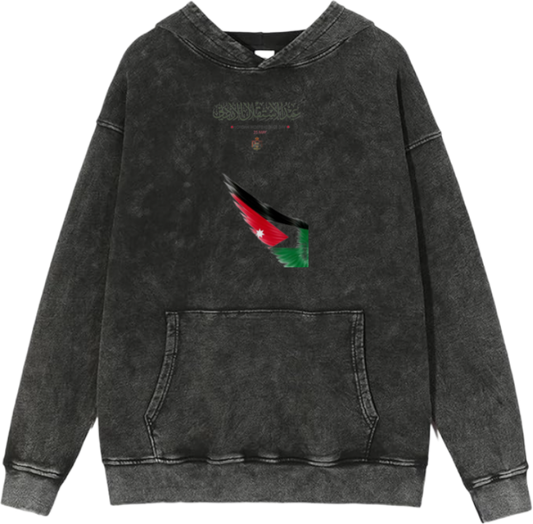 Jordan Oversize  Hoodie Washed gray 27
