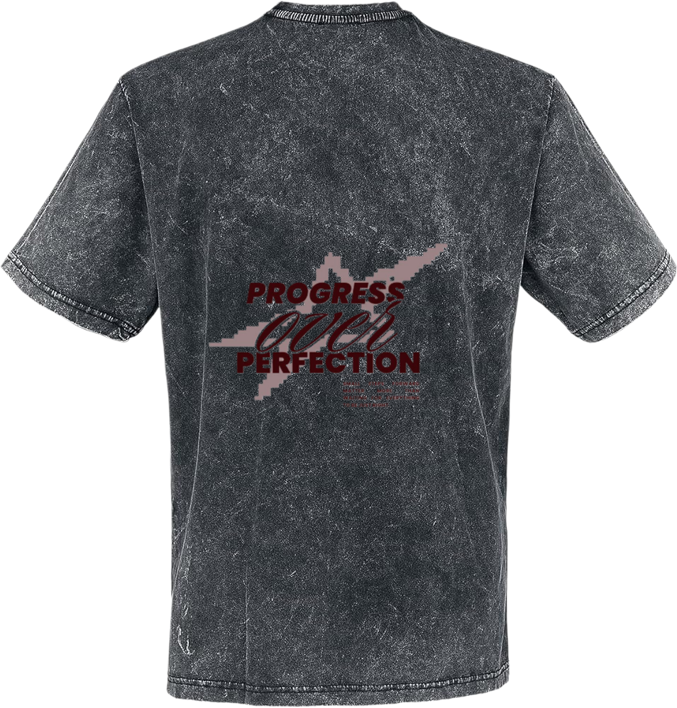 PROGRESS PERFECTION t- shirt Over Size Washed Back 62