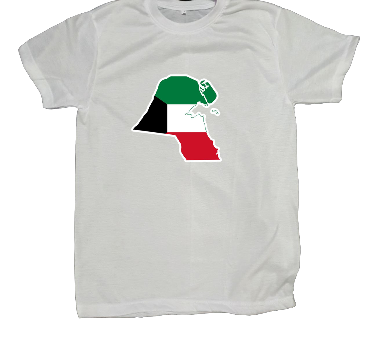 Palestine t- shirt fat White 2