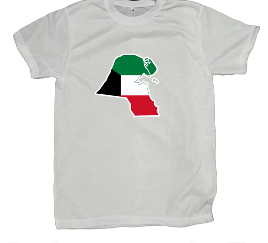Palestine t- shirt fat White 2