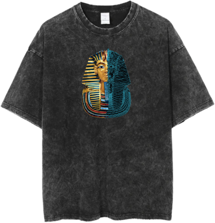 Egypt t- shirt Over Size Washed 31