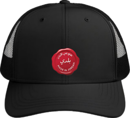 Jordan Baseball cap Black 31