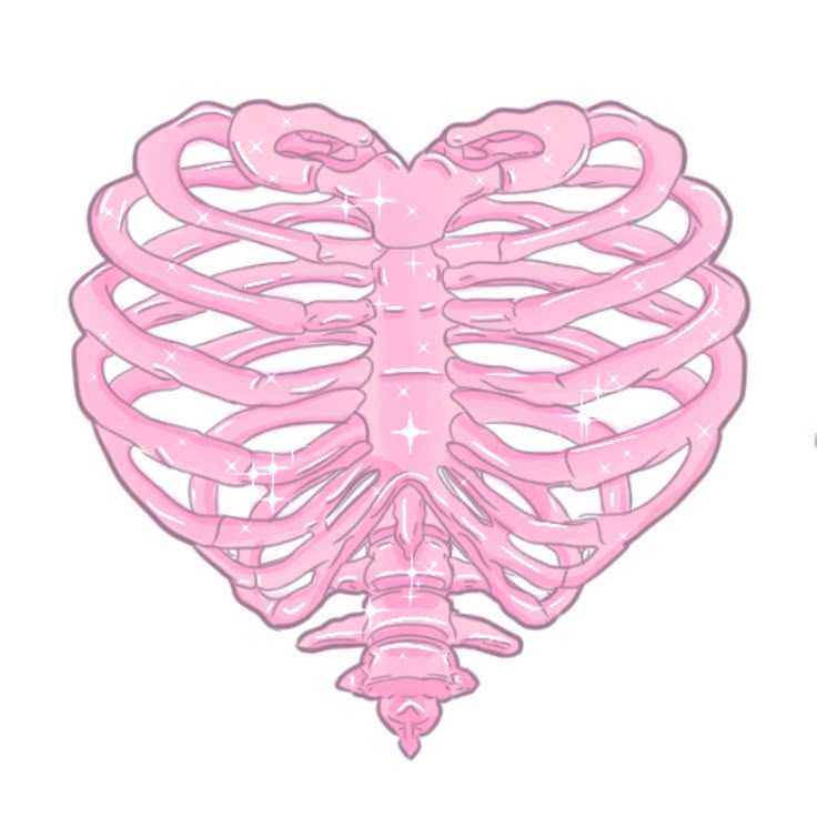 Sticker Anatomical rib cage 31