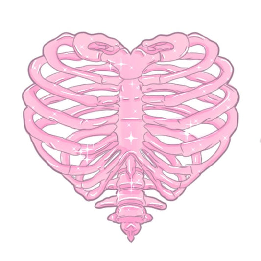 Sticker Anatomical rib cage 31