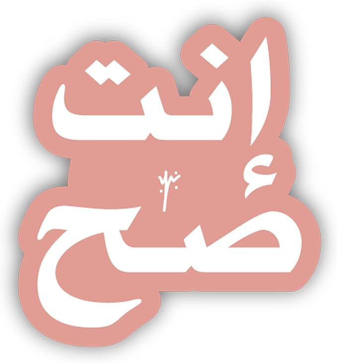 Sticker You are right  99