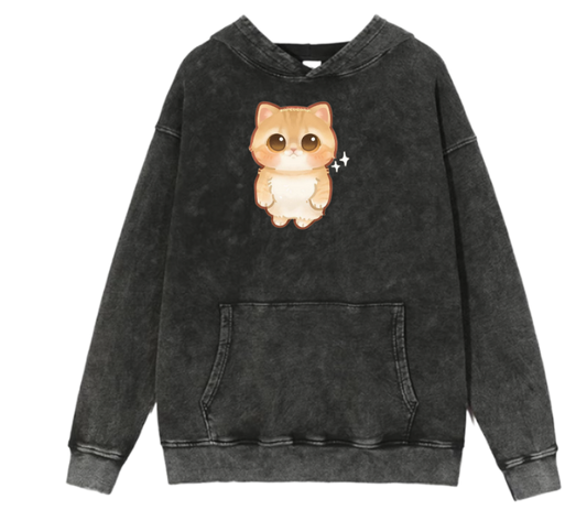 cat Oversize Hoodie Washed 35