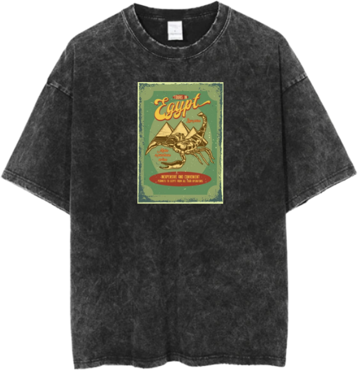Egypt t- shirt Over Size Washed 36