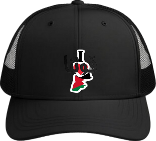 Jordan Baseball cap Black 36