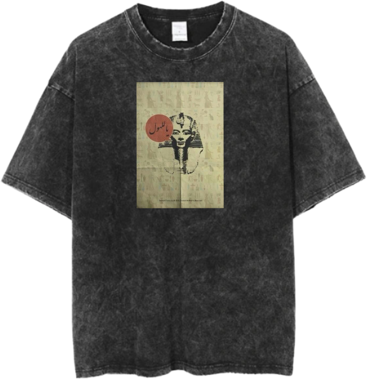 Egypt t- shirt Over Size Washed 37