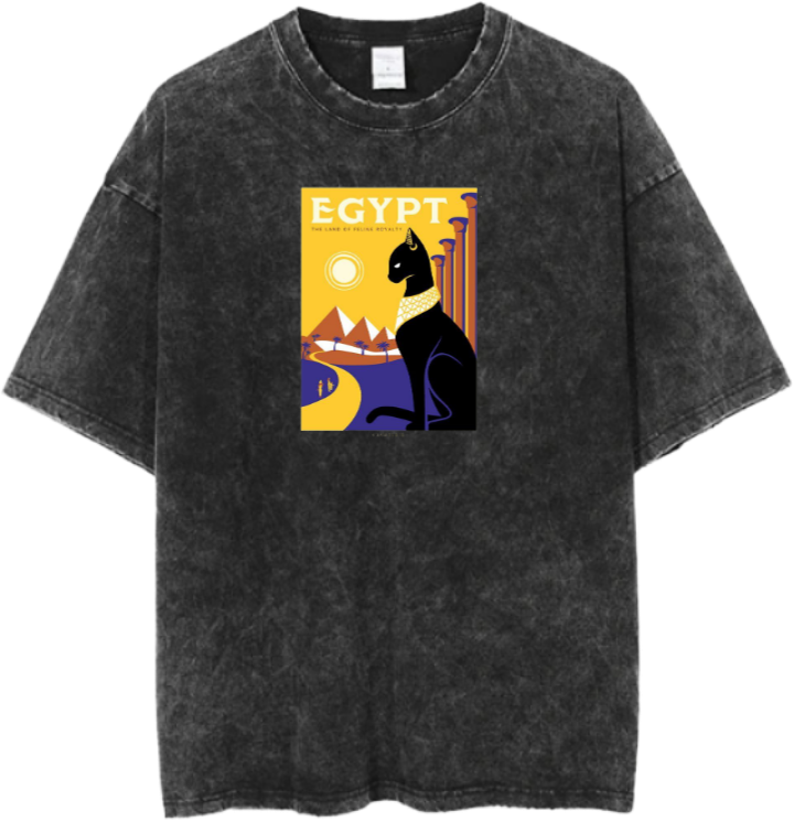 Egypt t- shirt Over Size Washed 38