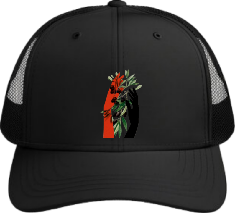 Jordan Baseball cap Black 38