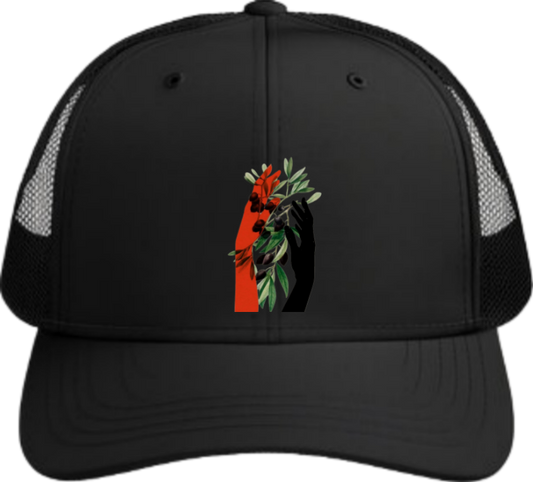 Jordan Baseball cap Black 38