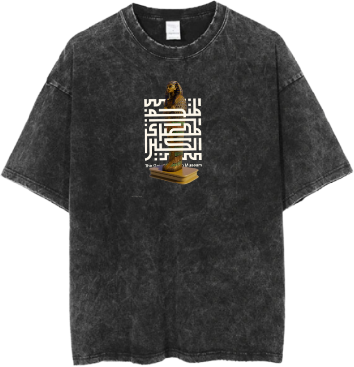 Egypt t- shirt Over Size Washed 39