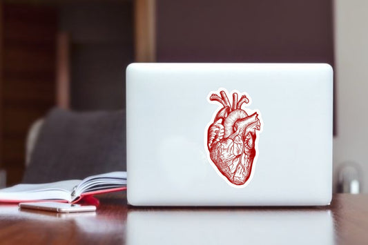 "Anatomical Red Heart Art Sticker, Waterproof Vinyl Medical Organ Decal for Laptop, Water Bottle, Hydro Flask, Skateboard, Luggage, Cardiology Doctor Gift