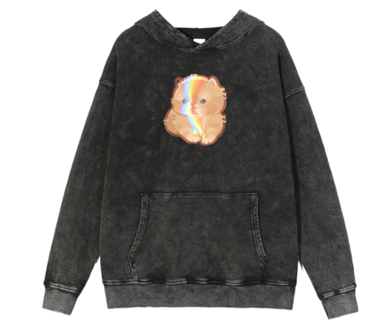 cat Oversize Hoodie Washed 47