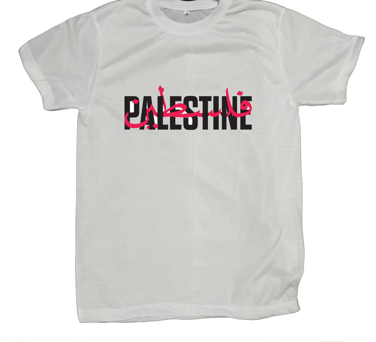 Palestine t- shirt fat White 12