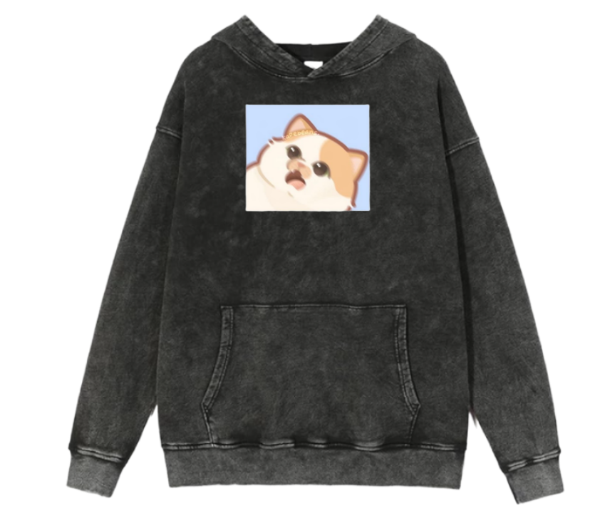 cat Oversize Hoodie Washed 50