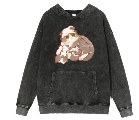 cat Oversize Hoodie Washed 58