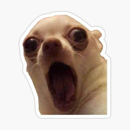 Sticker A small Chihuahua with a stunned or shocked facial expression 76