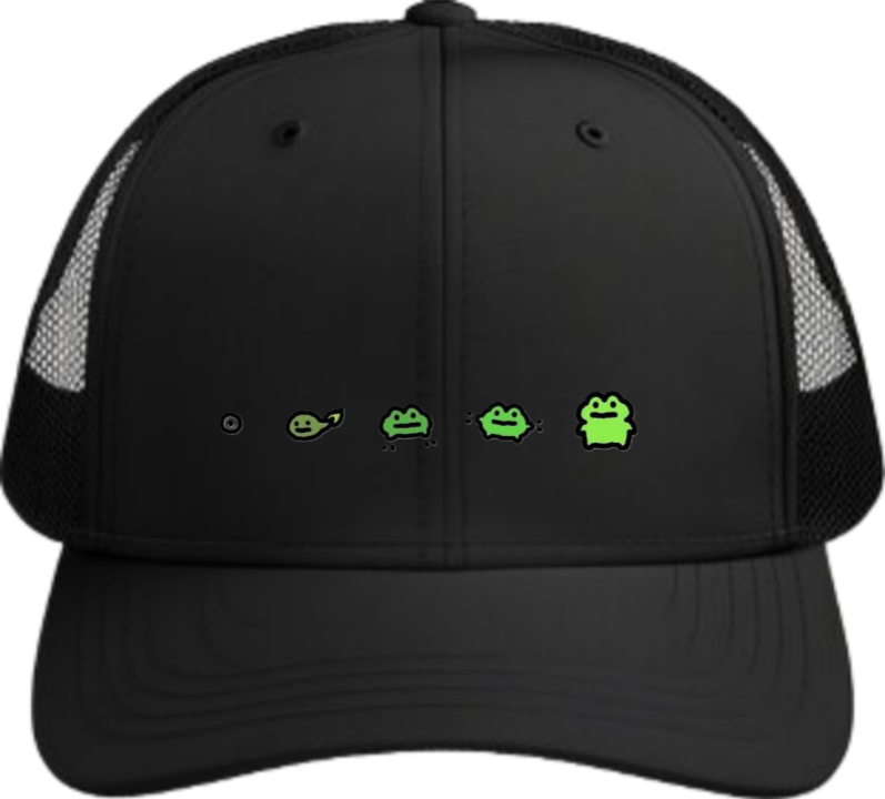 Frog Baseball cap Black 5