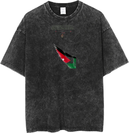 Jordan One Size t- shirt Washed 5