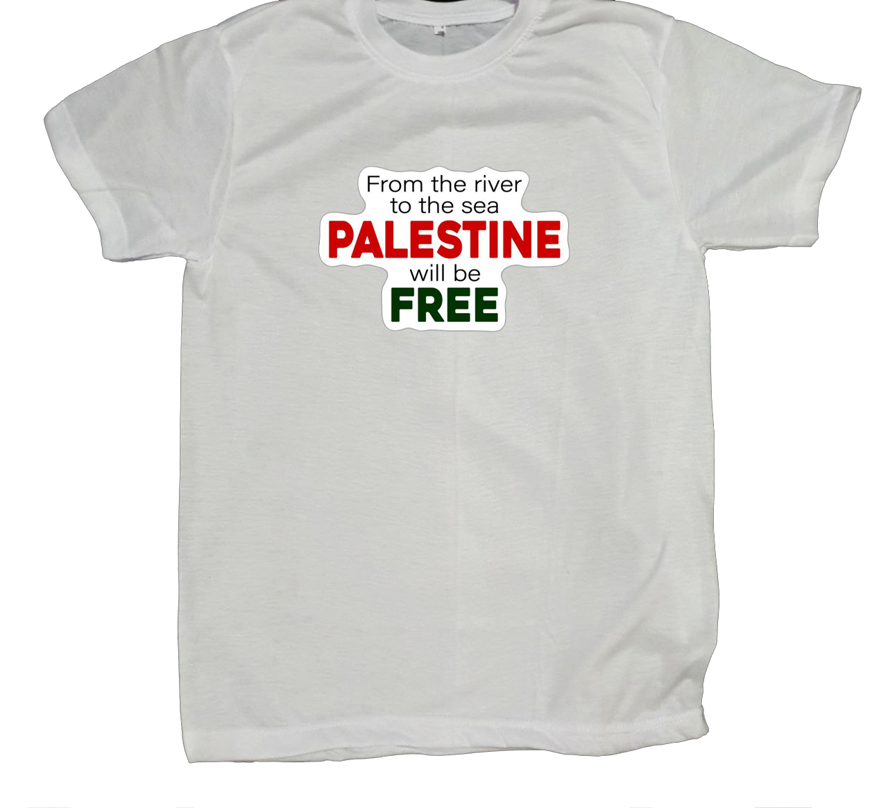 Palestine t- shirt fat White 13