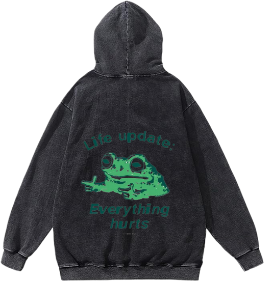 frog Oversize  Hoodie Washed gray Back 5