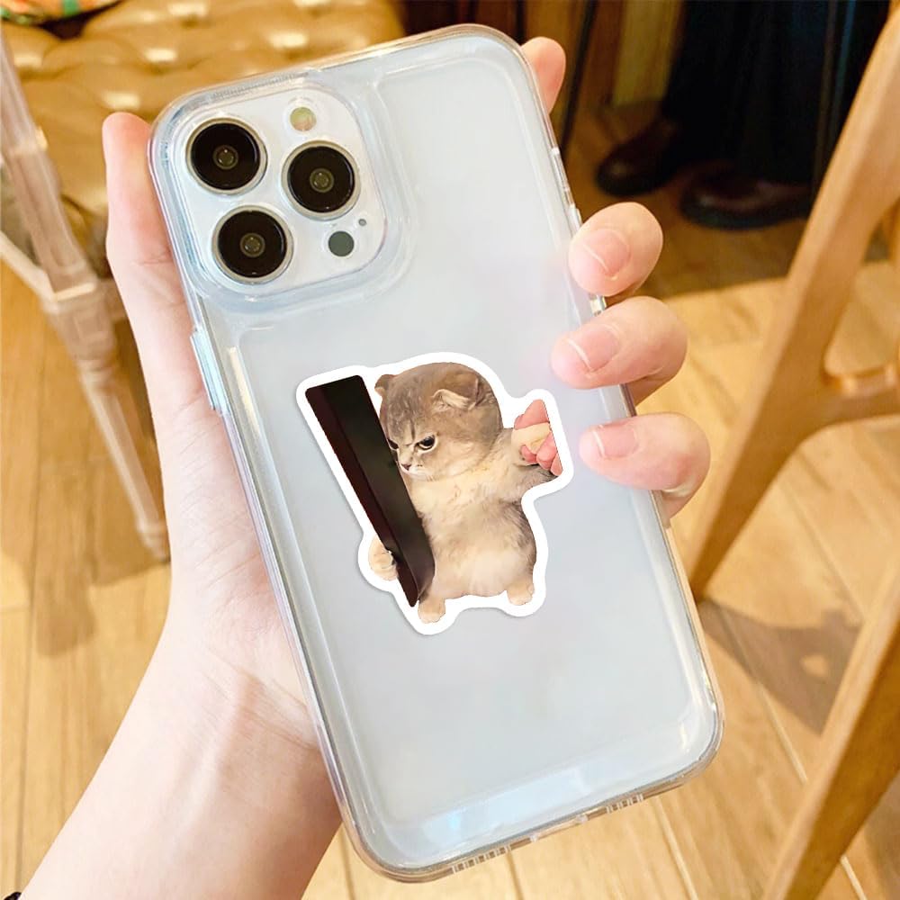 50 PCS Cat Meme Stickers, Funny Cat Sickers Cute Kitten Waterproof Vinyl Decals for Water Bottle Laptop Suitcase, DIY Party Decorations Favors for Adults Teens, Cat Lovers
