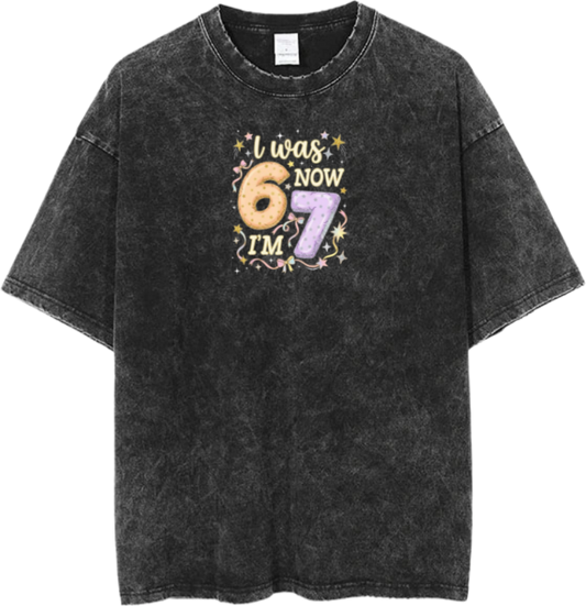 67 designs One Size t- shirt Washed 6
