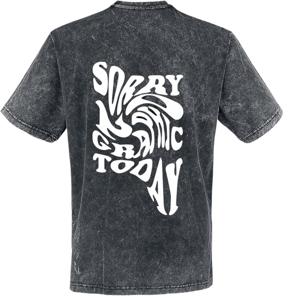 Sorry Today t- shirt Over Size Washed Back 6