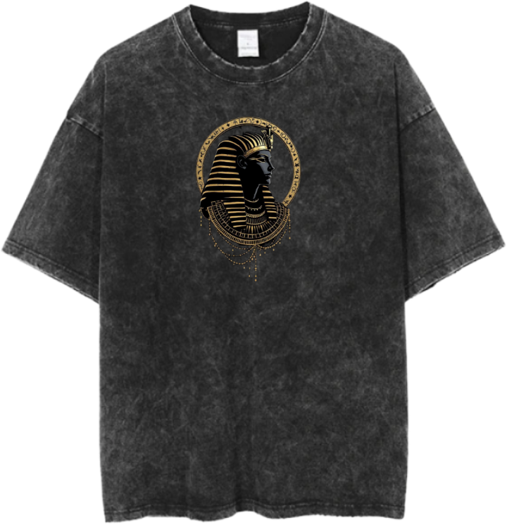 Egypt t- shirt Over Size Washed 6