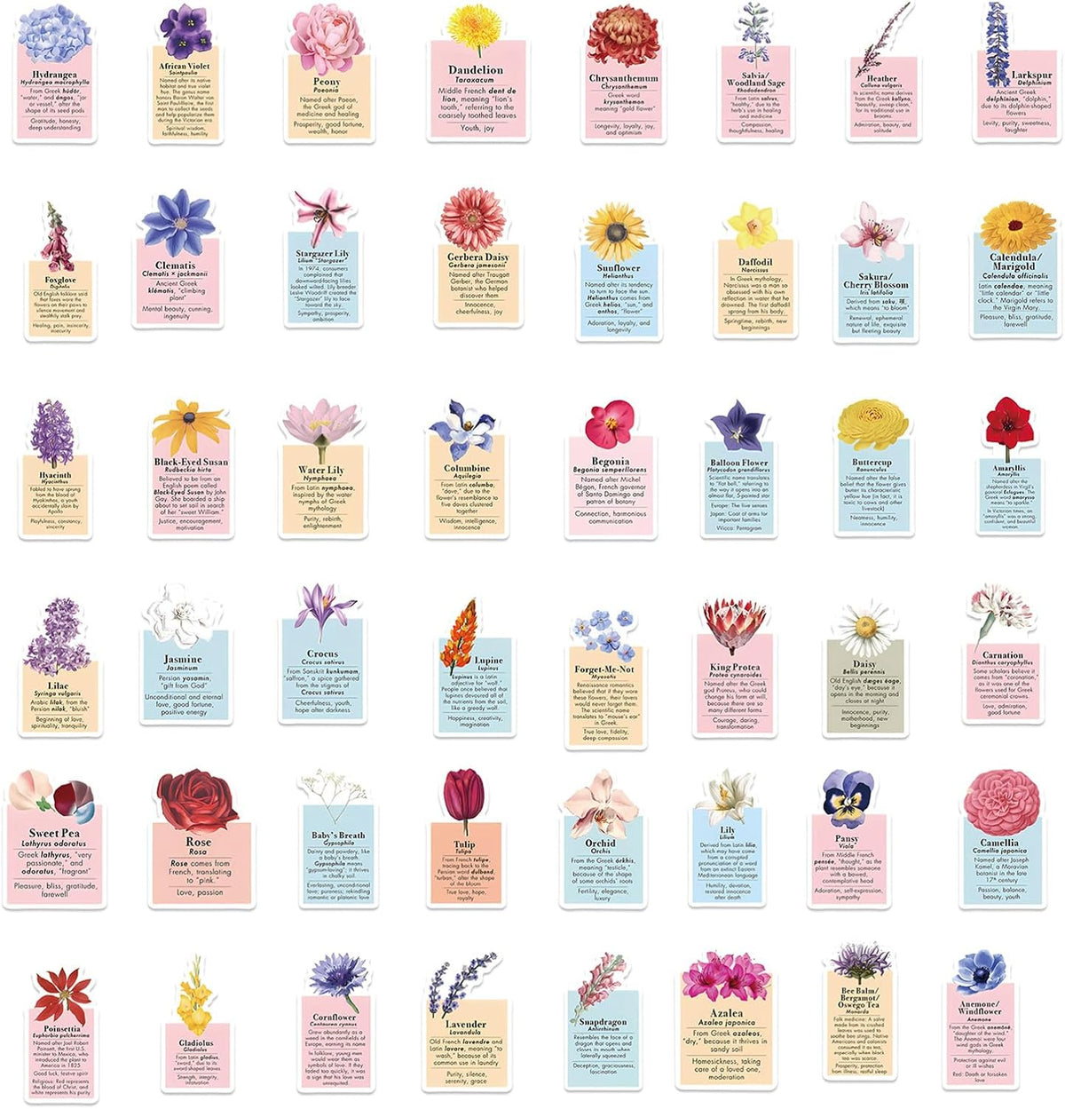 50Pcs Cute Ins Style Language of Flowers Stickers for Gifts Laptop Motorcycle Bicycle Skateboard Luggage Decal Graffiti Patches HJHSL