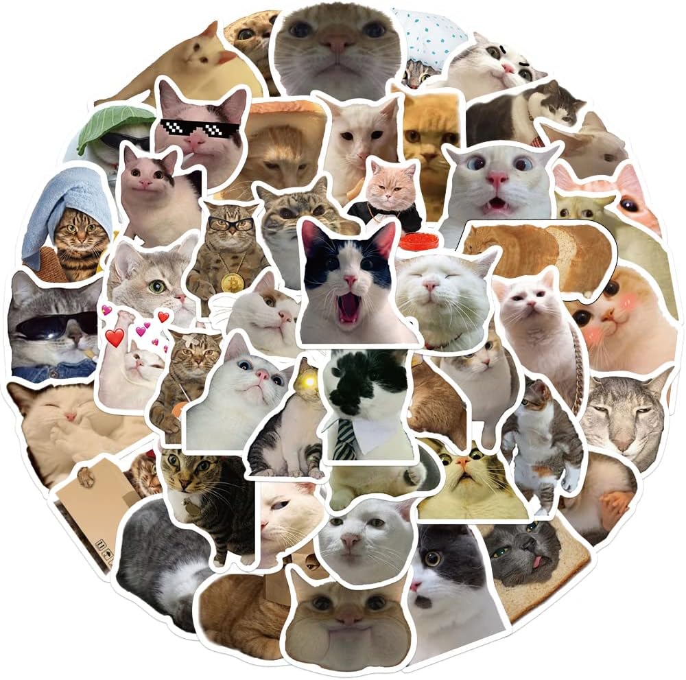 Set of 50 Cat Stickers, Waterproof Vinyl Stickers for Cat Lovers, Water Bottle, Bike, PC, Phone