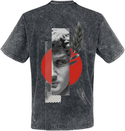 فن يوناني t- shirt One Size Washed Back 7