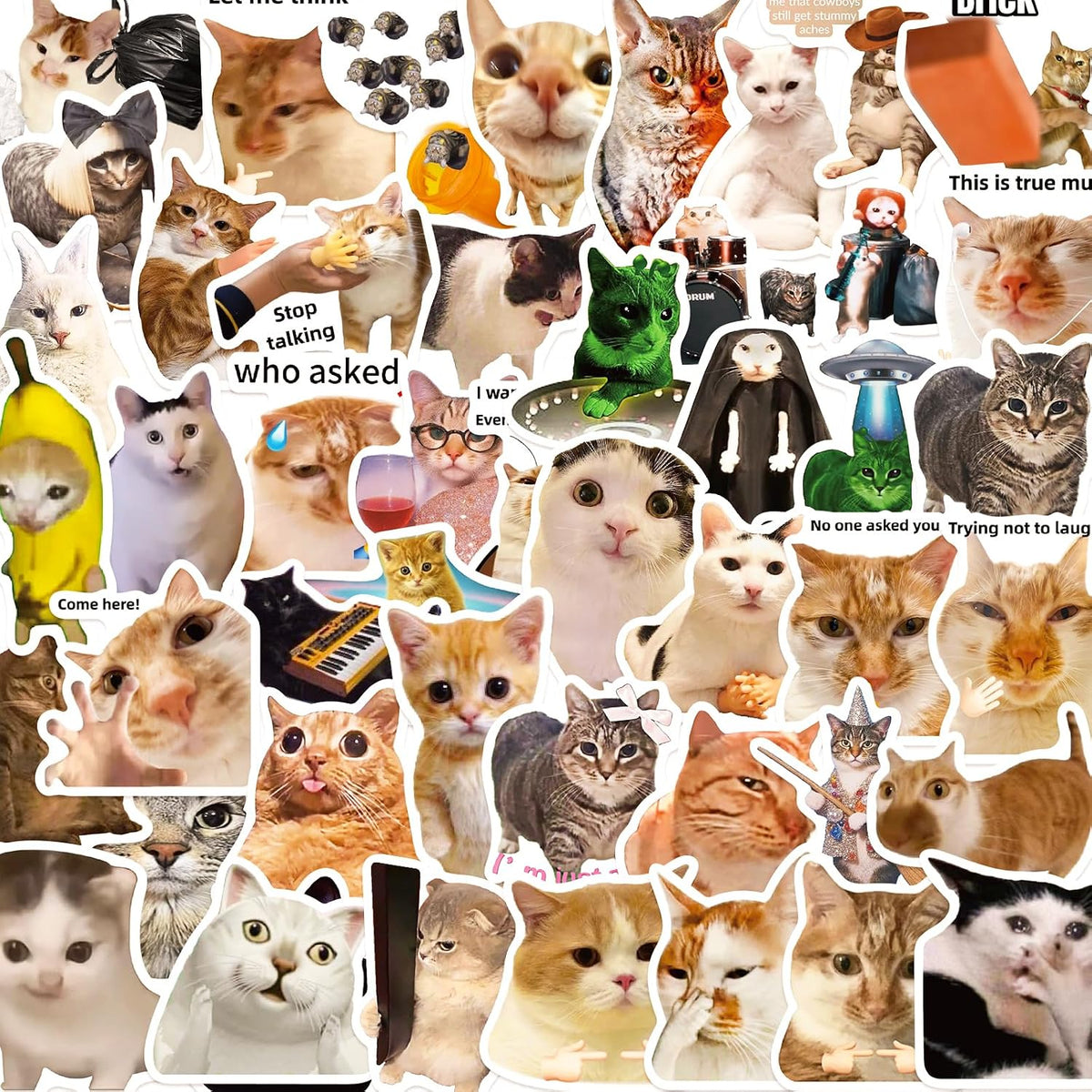 50 PCS Cat Meme Stickers, Funny Cat Sickers Cute Kitten Waterproof Vinyl Decals for Water Bottle Laptop Suitcase, DIY Party Decorations Favors for Adults Teens, Cat Lovers