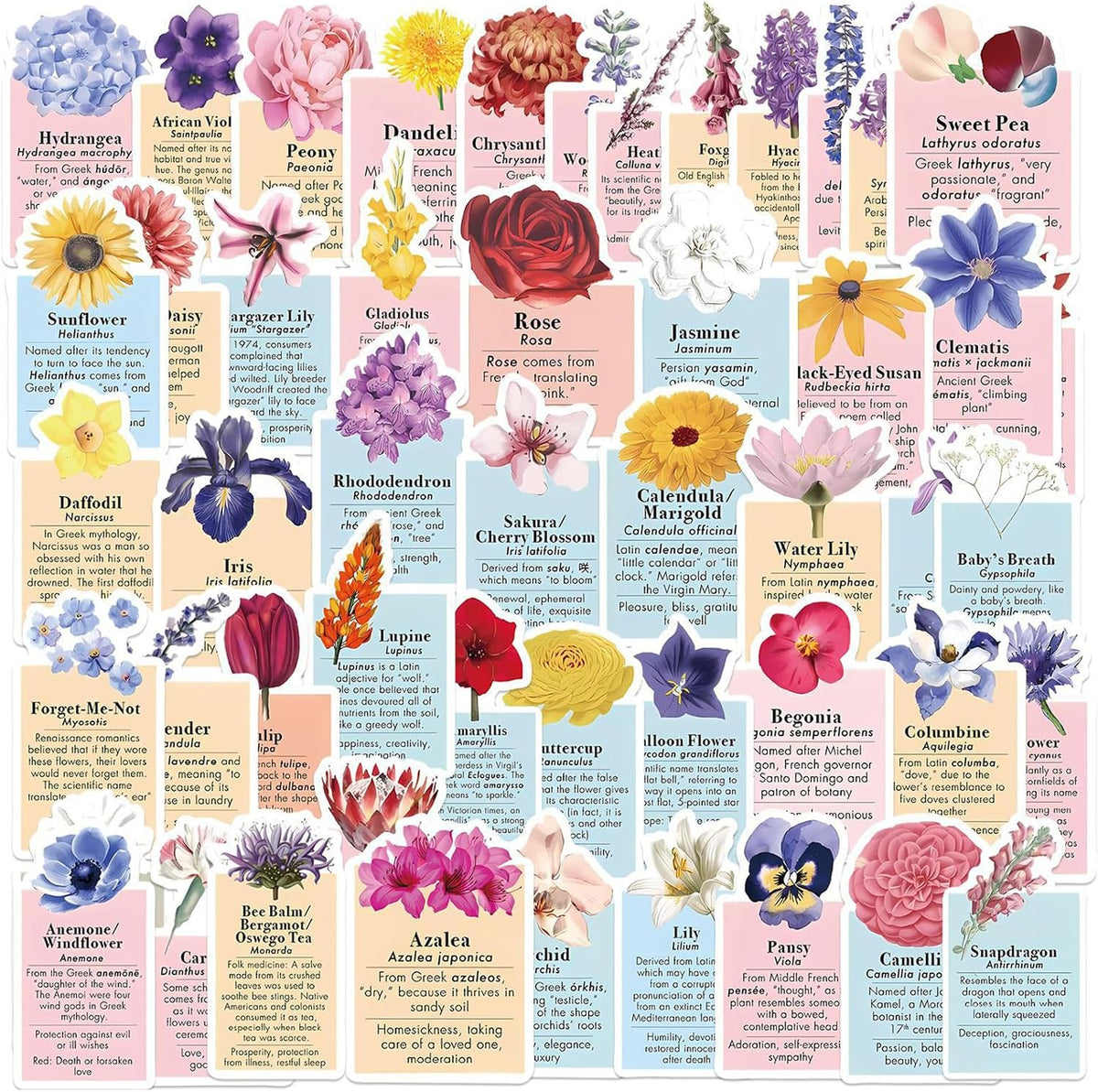 50Pcs Cute Ins Style Language of Flowers Stickers for Gifts Laptop Motorcycle Bicycle Skateboard Luggage Decal Graffiti Patches HJHSL