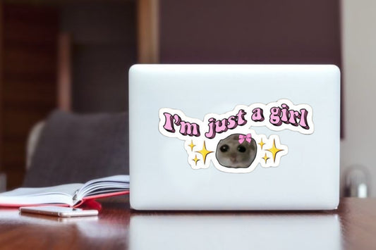 I'm Just a Girl" Pink Meme Sticker, Cute Crying Hamster Aesthetic Vinyl Decal, Waterproof Laptop Sticker for Water Bottles, Relatable Gen Z Humor Gift