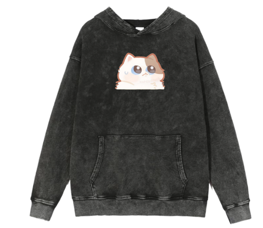 cat Oversize Hoodie Washed 89
