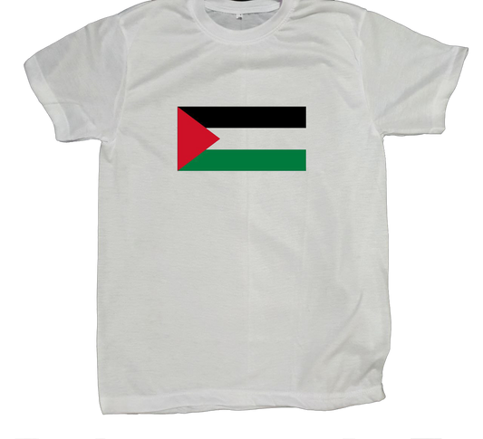 Palestine t- shirt fat White 16