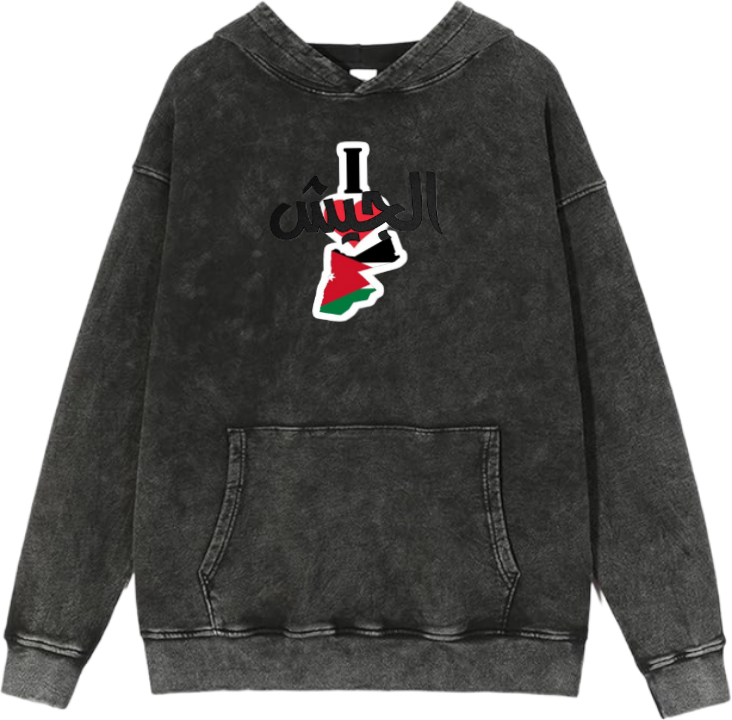 Jordan Oversize  Hoodie Washed gray 8