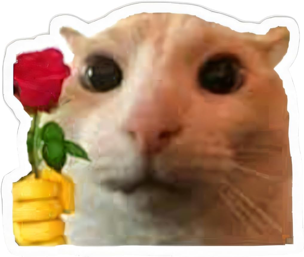 The wide-eyed, sad cat meme offering a red rose Sticker 9