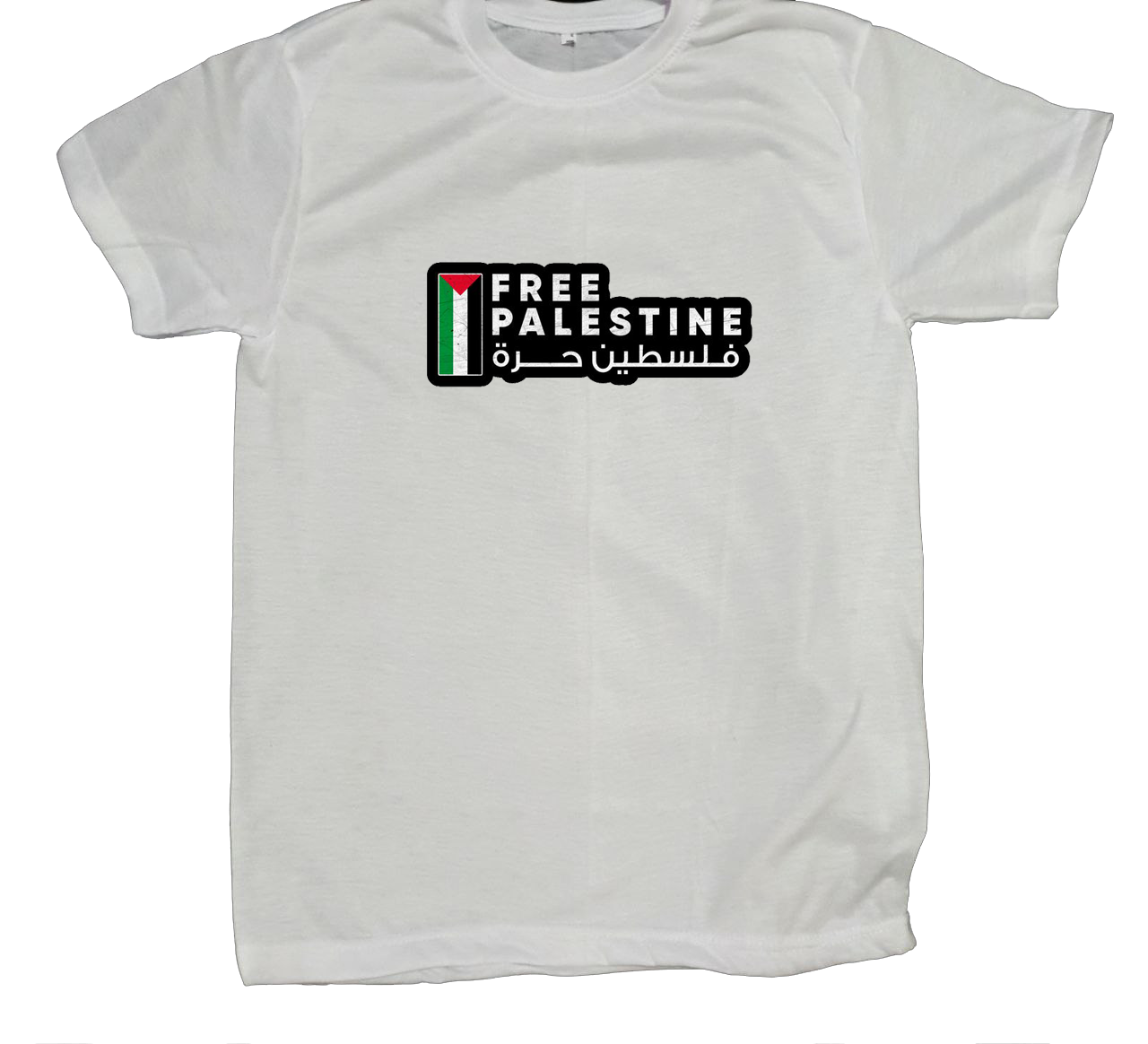 Palestine t- shirt fat White 17