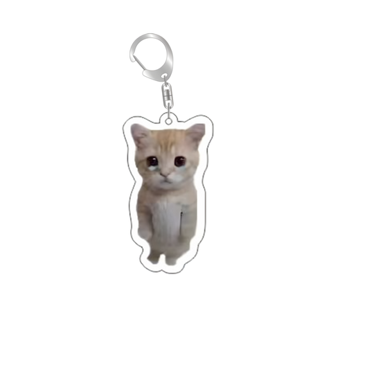 cat medal 1