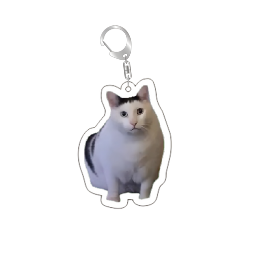 cat medal 5
