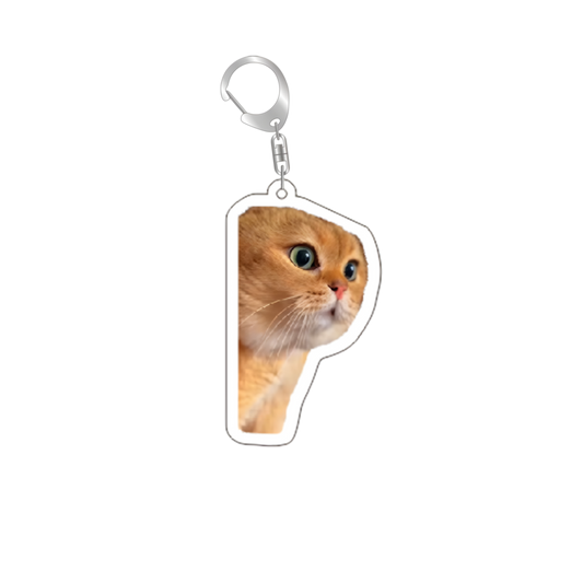cat medal 6