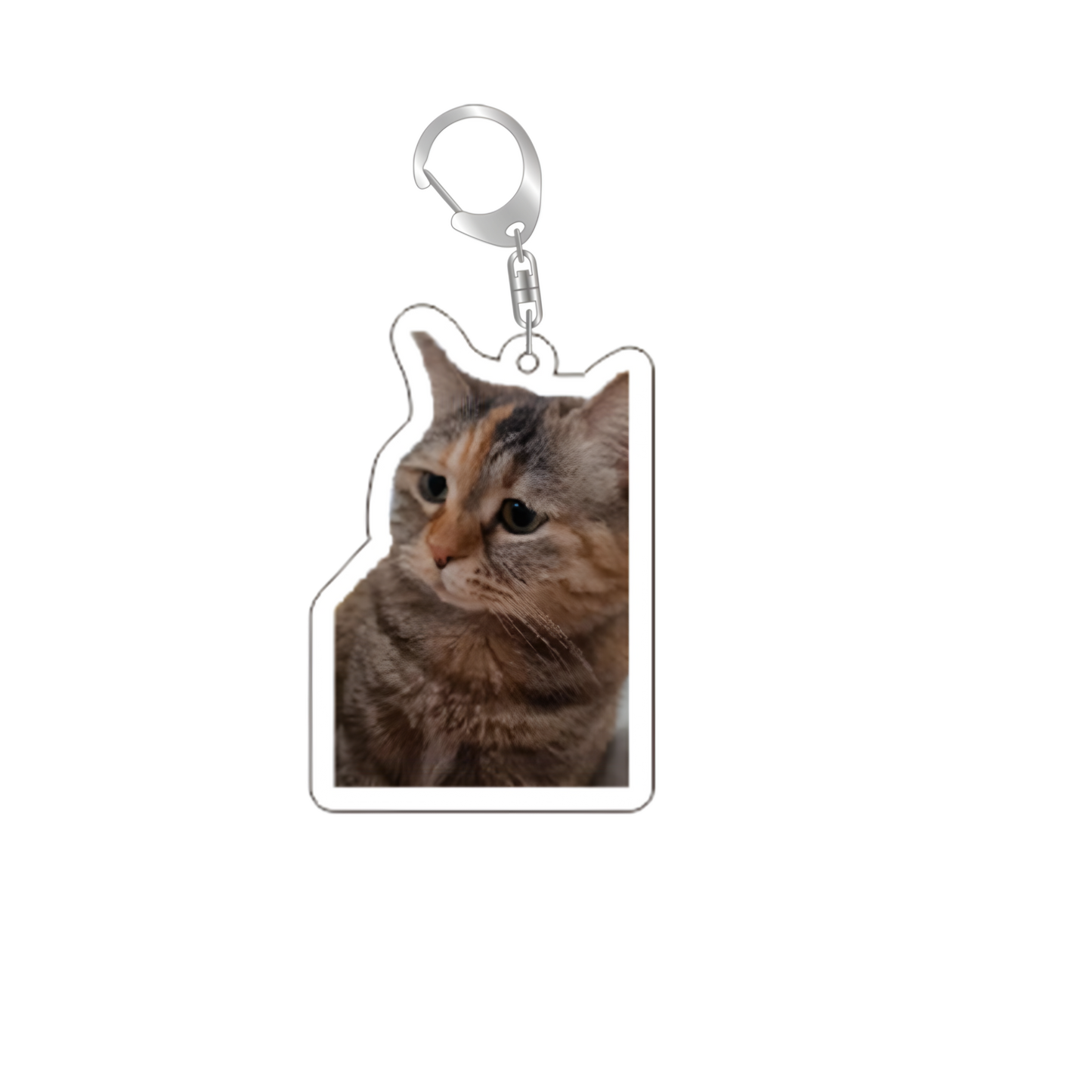 cat medal 7