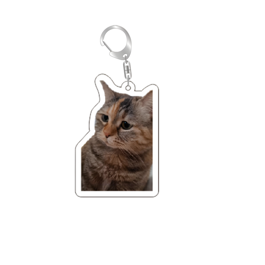cat medal 7